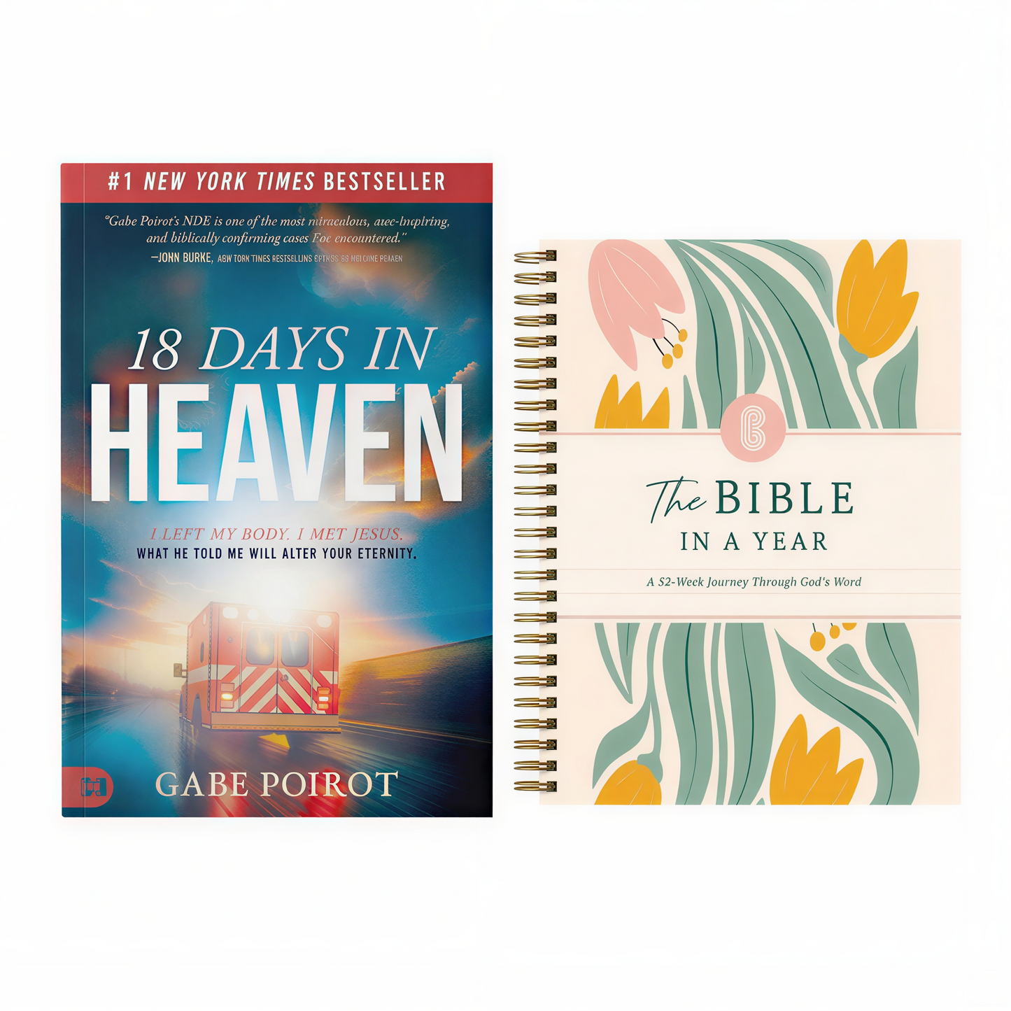 18 Days in Heaven + The Bible in A Year
