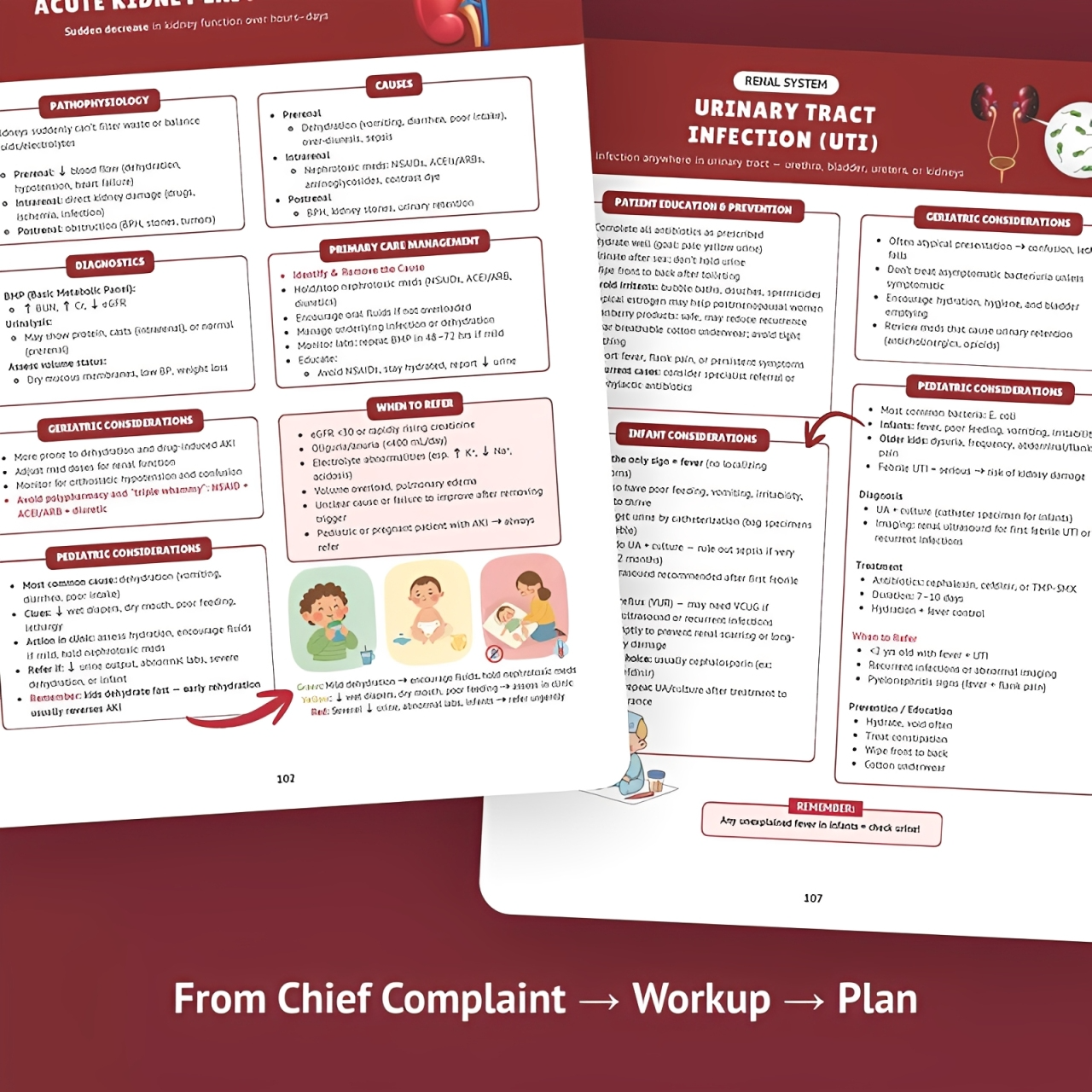 The Essential Family Nurse Practitioner Guide