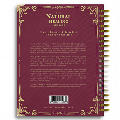 The Natural Healing Handbook