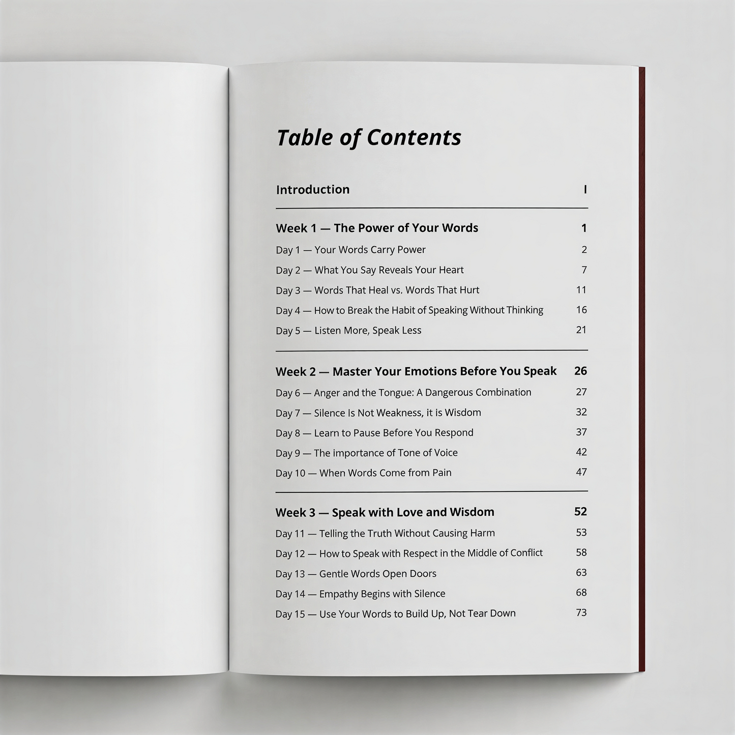 Stay Silent: A 30 Day Challenge to Transform the Way You Speak