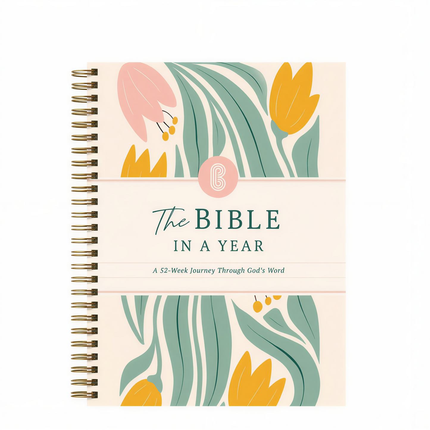 The Bible In A Year