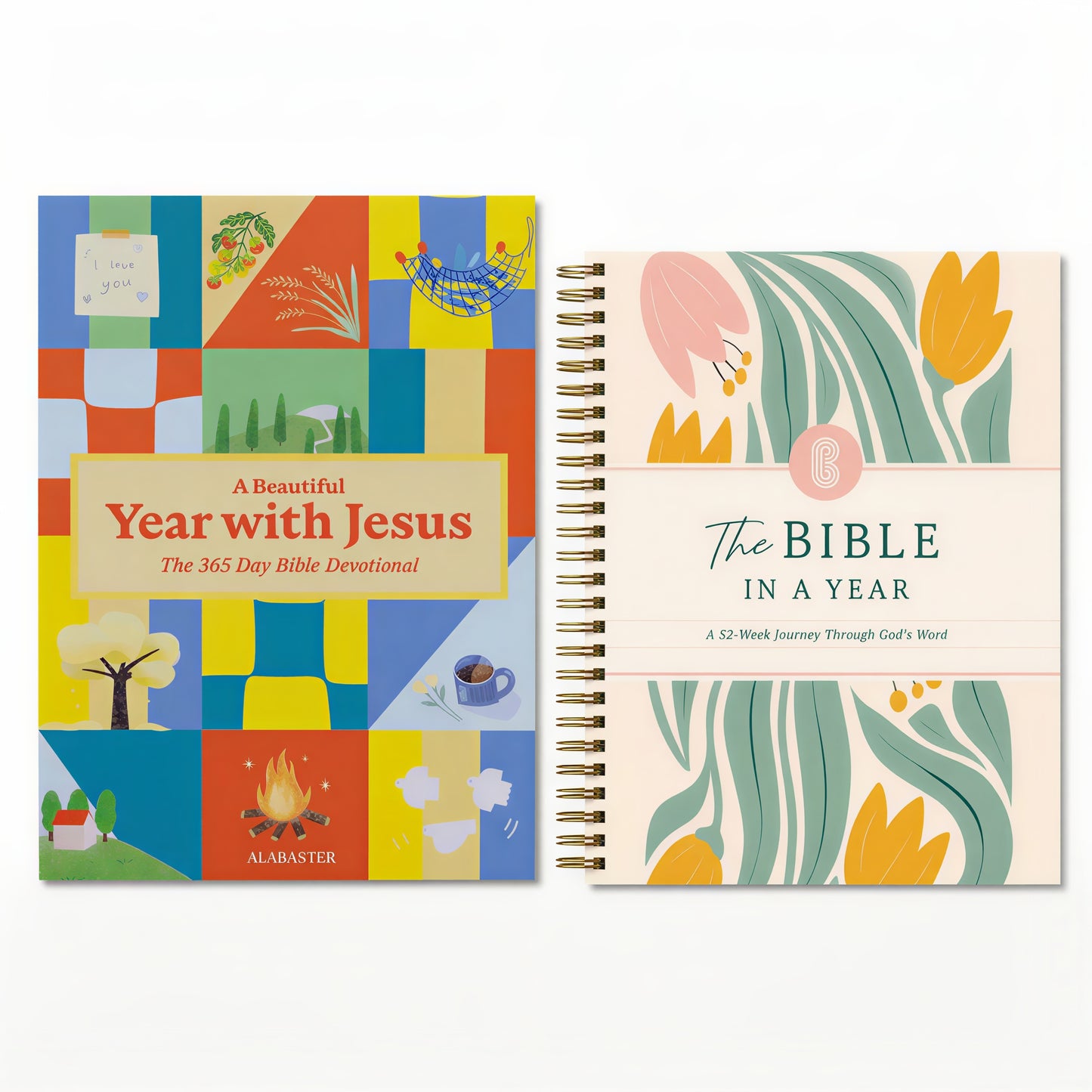 A Beautiful Year With Jesus + The Bible In A Year