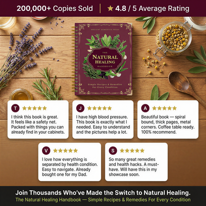 The Natural Healing Handbook